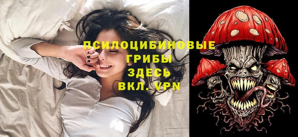 spice Абаза