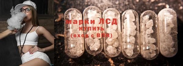 spice Абаза
